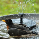 Chafariz Solar para Jardim SunFountain - Compre 1 Leve 2 + Bicos de BRINDE