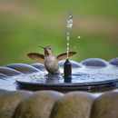 Chafariz Solar para Jardim SunFountain - Compre 1 Leve 2 + Bicos de BRINDE