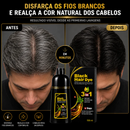 Shampoo Tonalizante 3 em 1 - 500ml | Pague 1 Leve 2 + Brinde